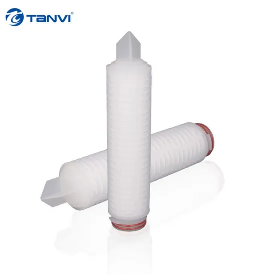 Pes Filter Cartridge 10inch 0.2um for Eye Drops Filtration